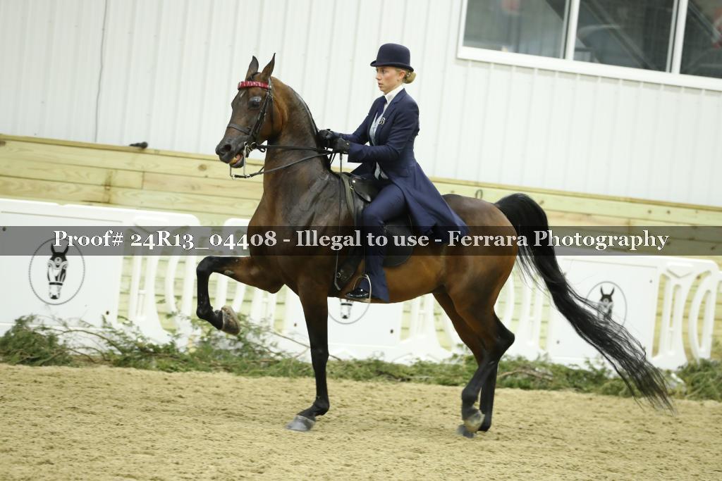 Proof 24R13_04408