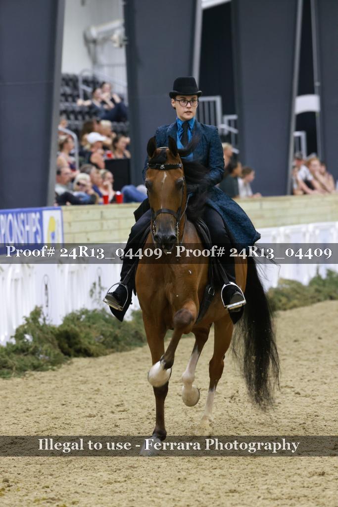 Proof 24R13_04409