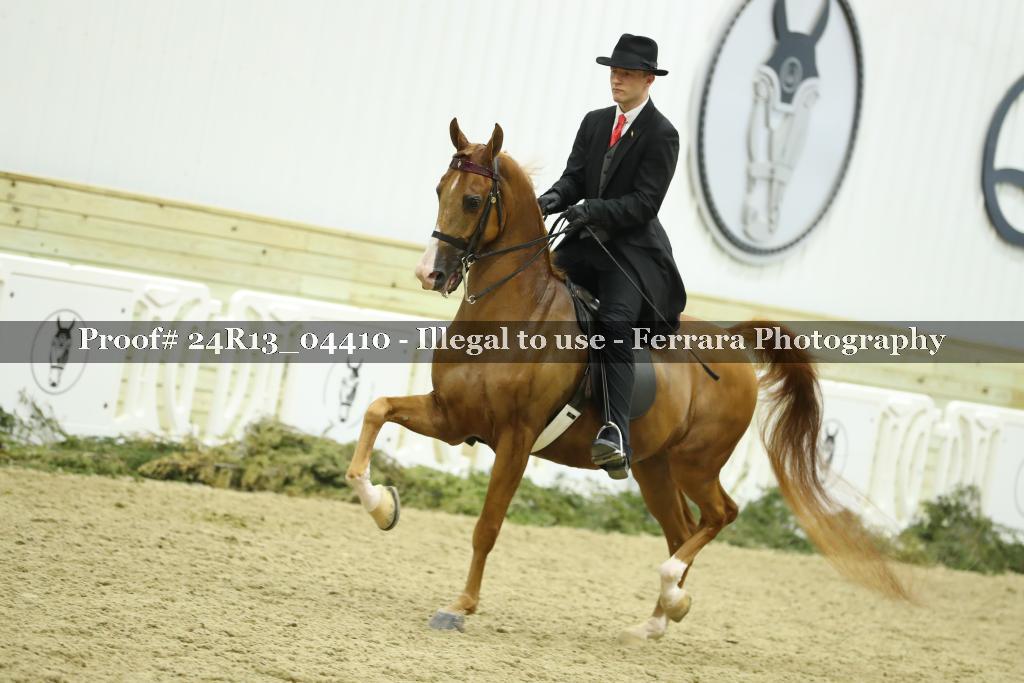 Proof 24R13_04410