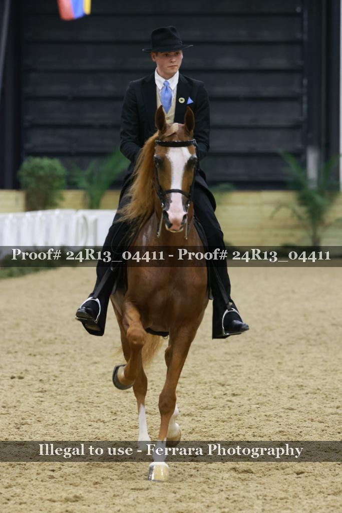 Proof 24R13_04411