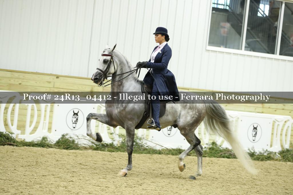 Proof 24R13_04412