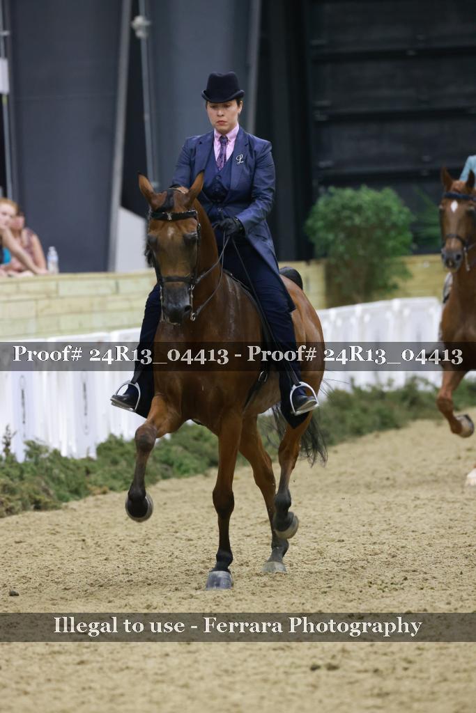 Proof 24R13_04413