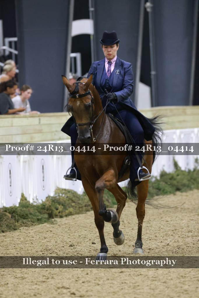 Proof 24R13_04414