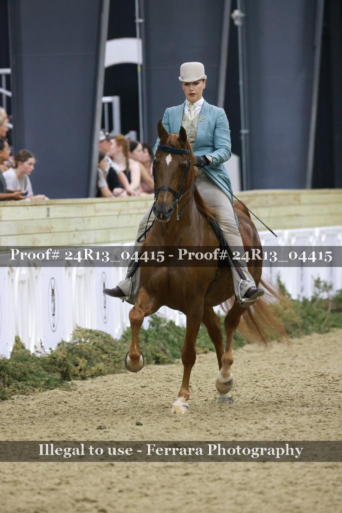 Proof 24R13_04415