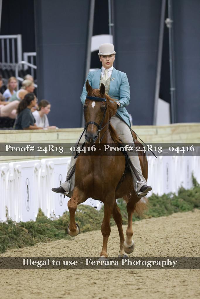 Proof 24R13_04416