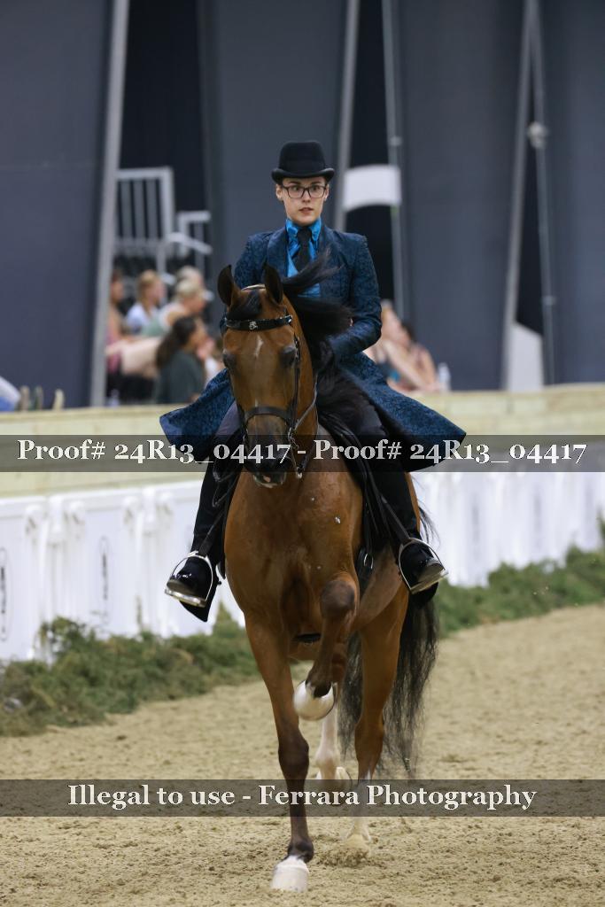 Proof 24R13_04417