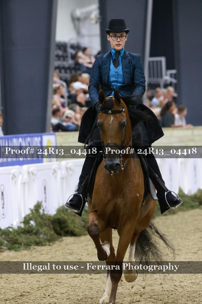 Proof 24R13_04418