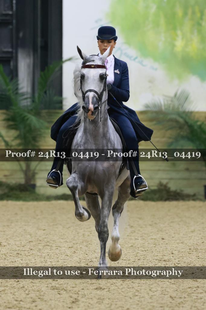 Proof 24R13_04419