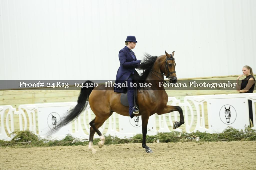 Proof 24R13_04420