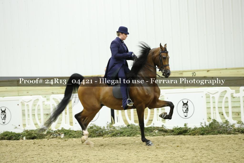 Proof 24R13_04421