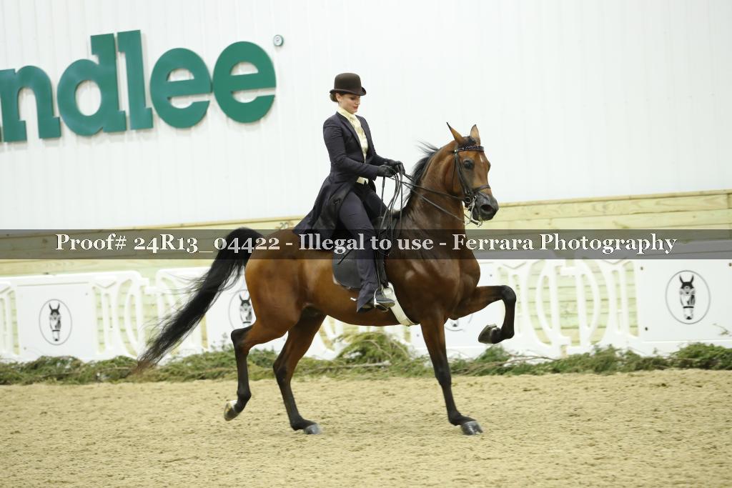 Proof 24R13_04422