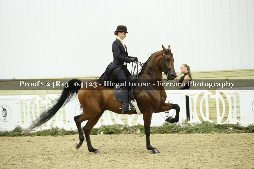 Proof 24R13_04423