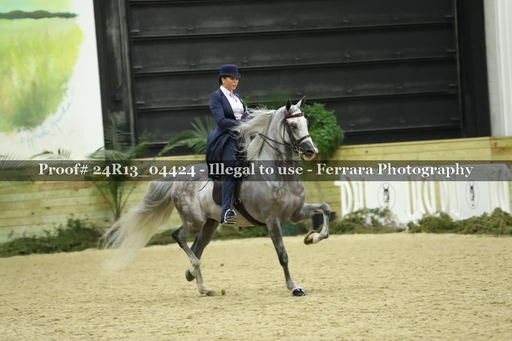 Proof 24R13_04424