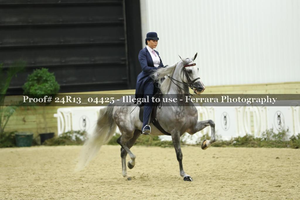 Proof 24R13_04425