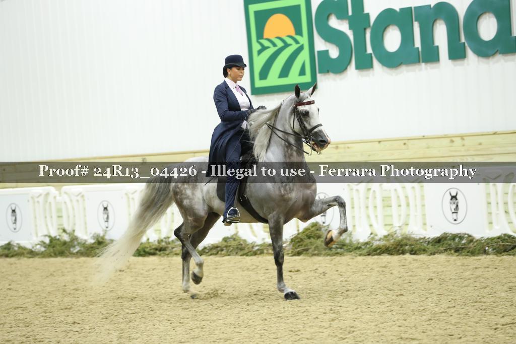 Proof 24R13_04426