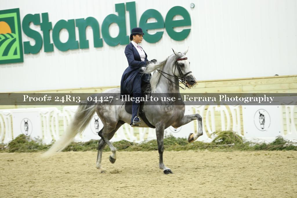 Proof 24R13_04427