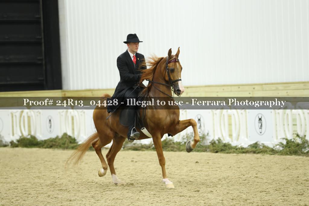 Proof 24R13_04428