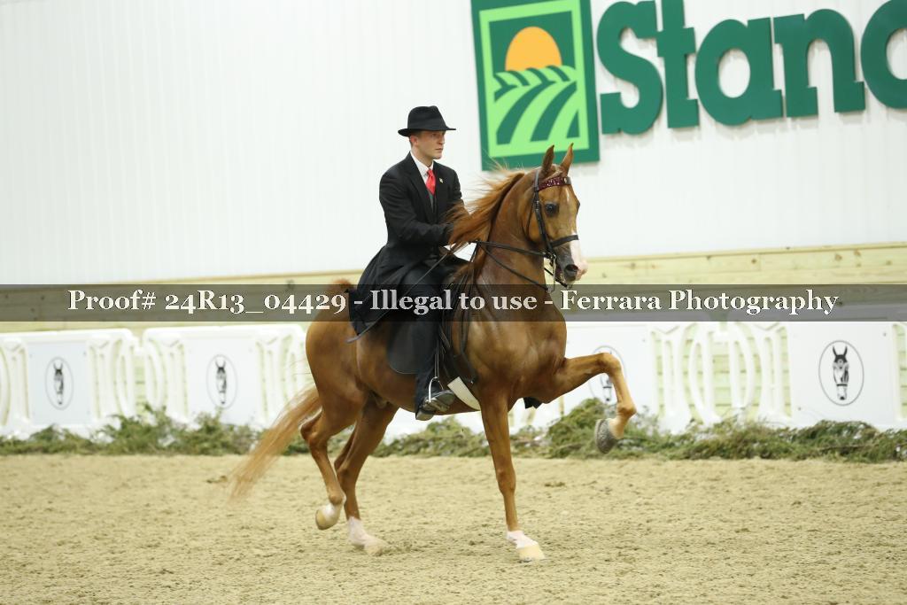 Proof 24R13_04429