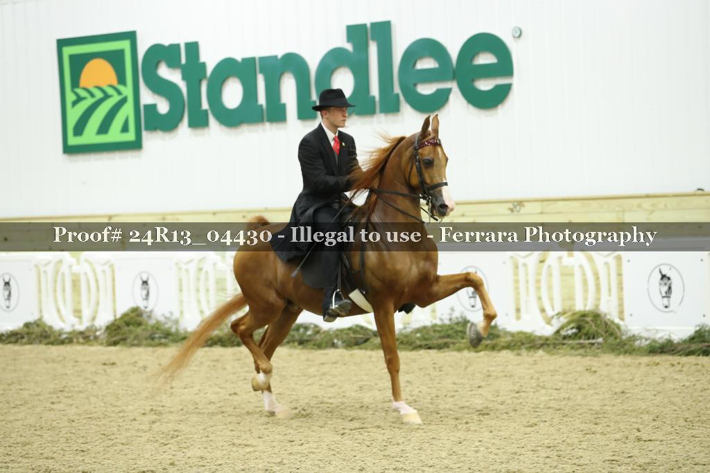 Proof 24R13_04430
