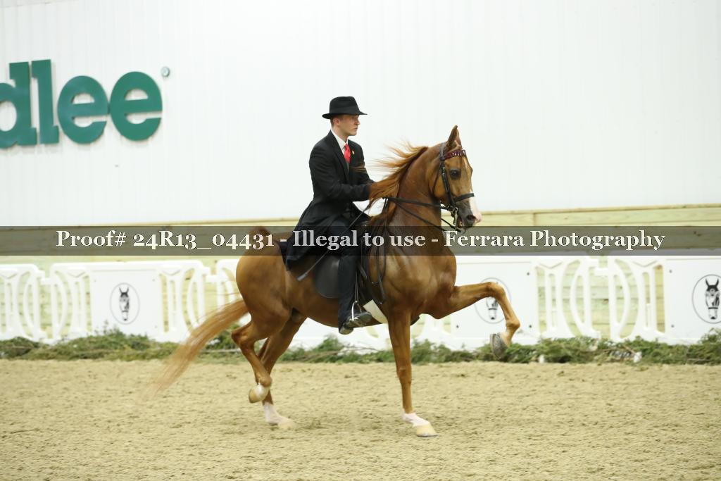 Proof 24R13_04431