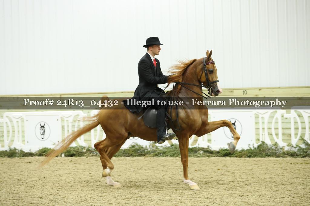 Proof 24R13_04432
