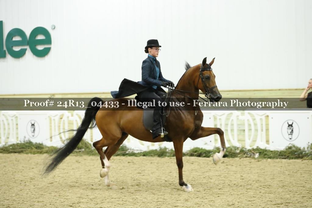 Proof 24R13_04433
