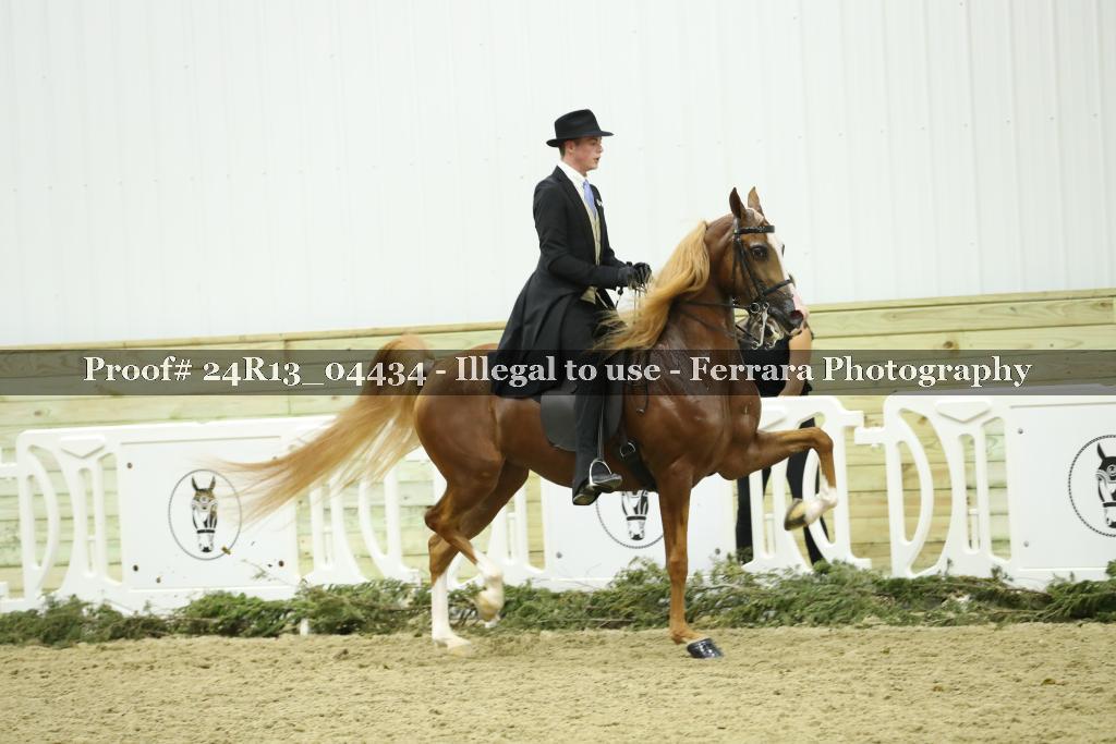 Proof 24R13_04434