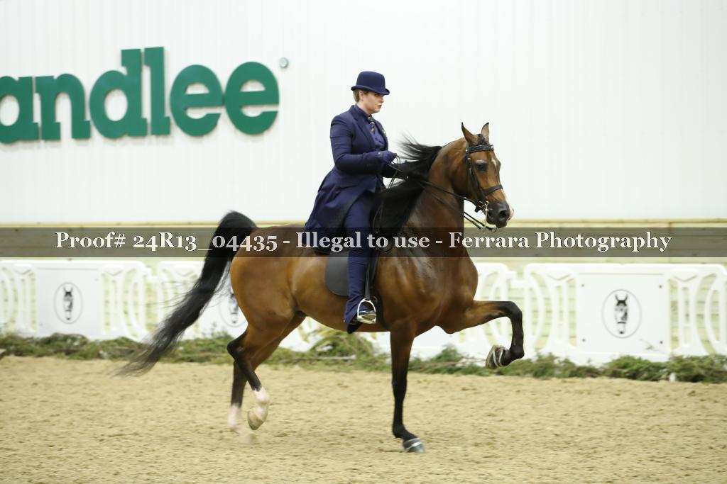 Proof 24R13_04435
