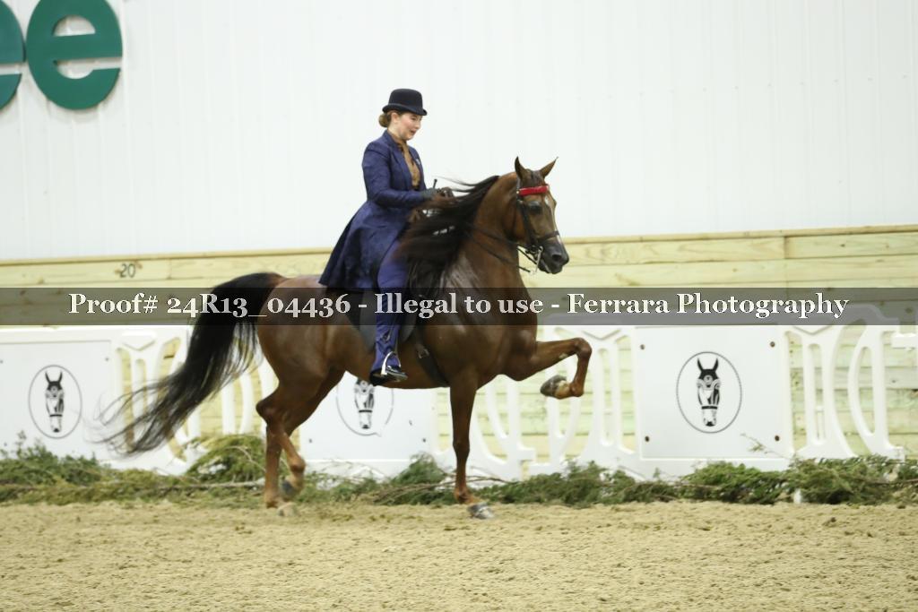 Proof 24R13_04436