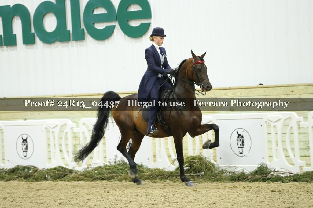 Proof 24R13_04437