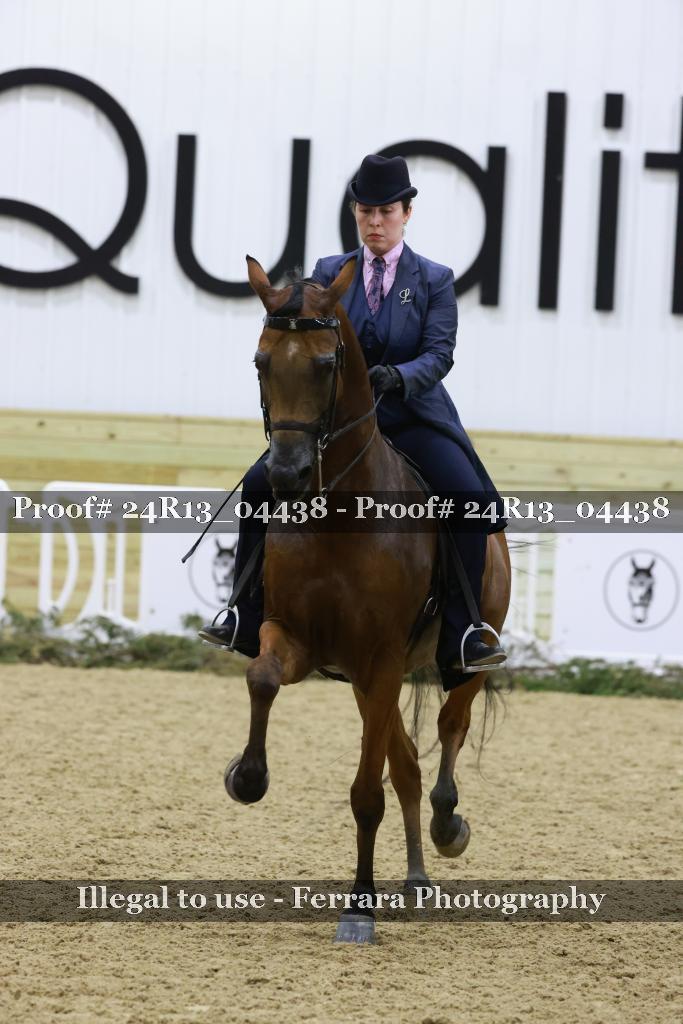 Proof 24R13_04438
