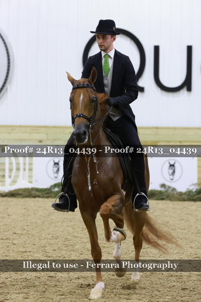 Proof 24R13_04439