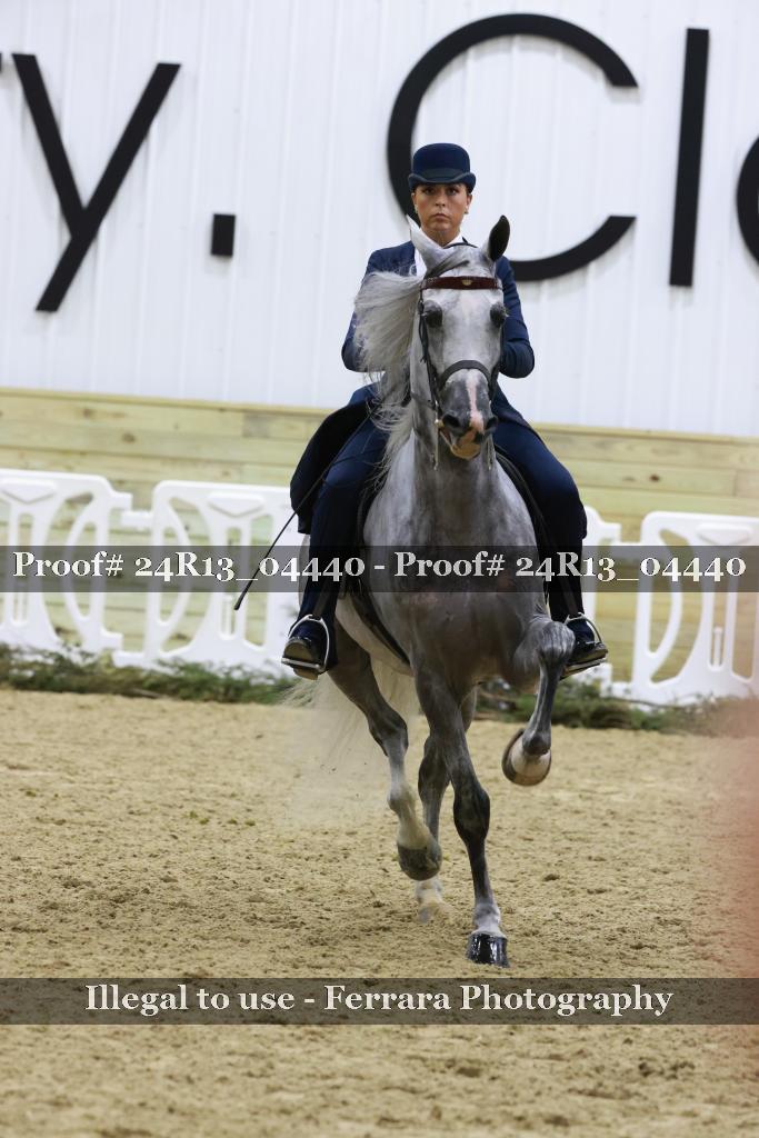 Proof 24R13_04440