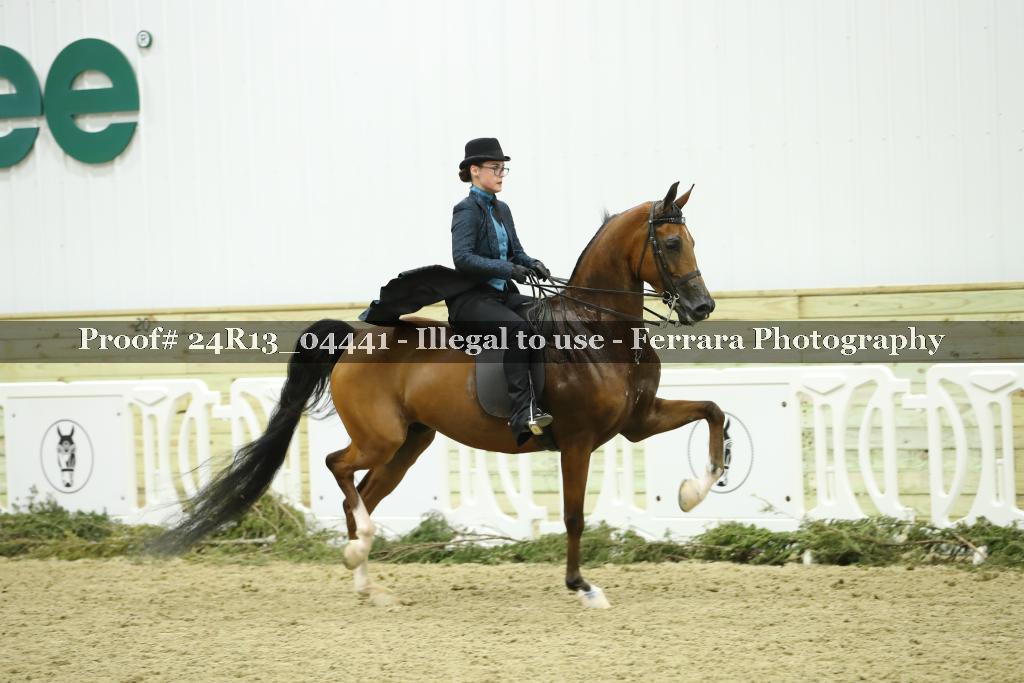 Proof 24R13_04441