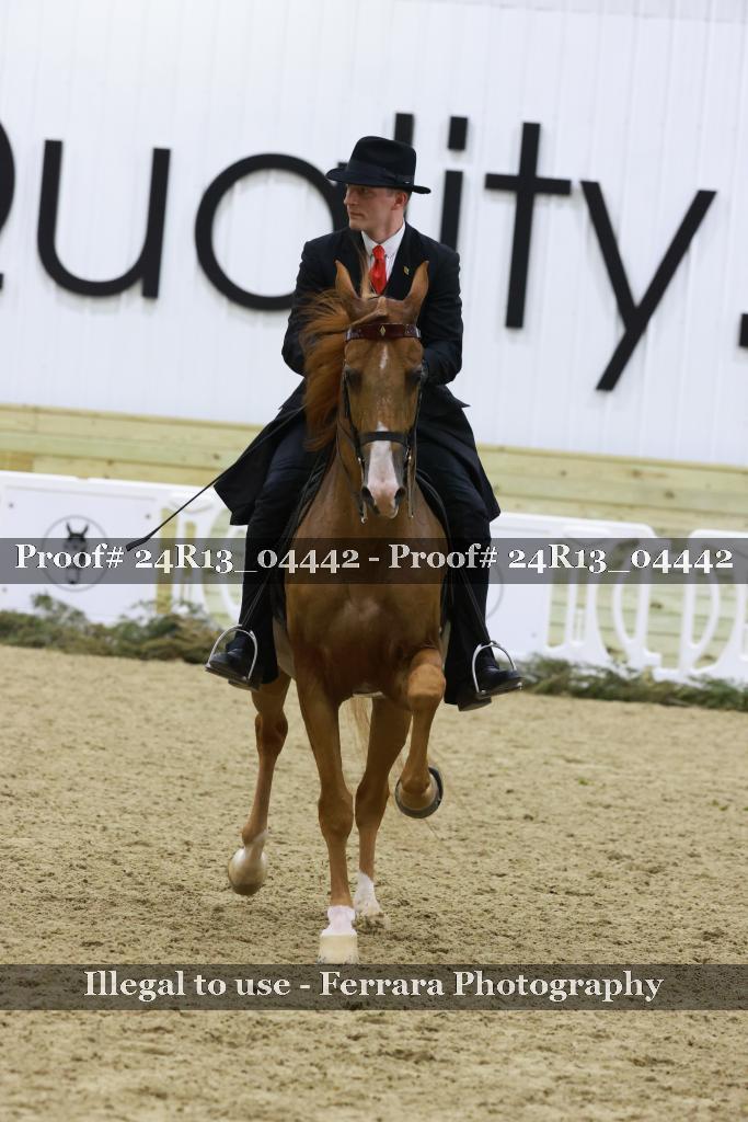 Proof 24R13_04442