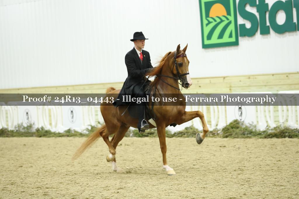 Proof 24R13_04443