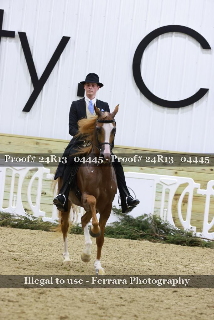 Proof 24R13_04445