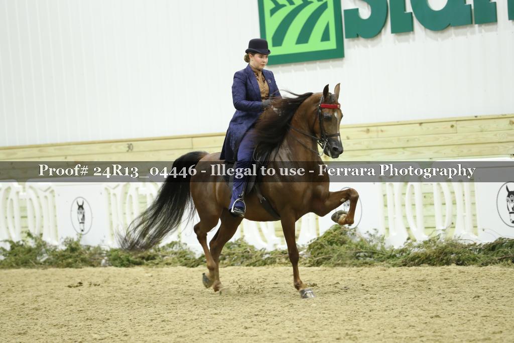 Proof 24R13_04446