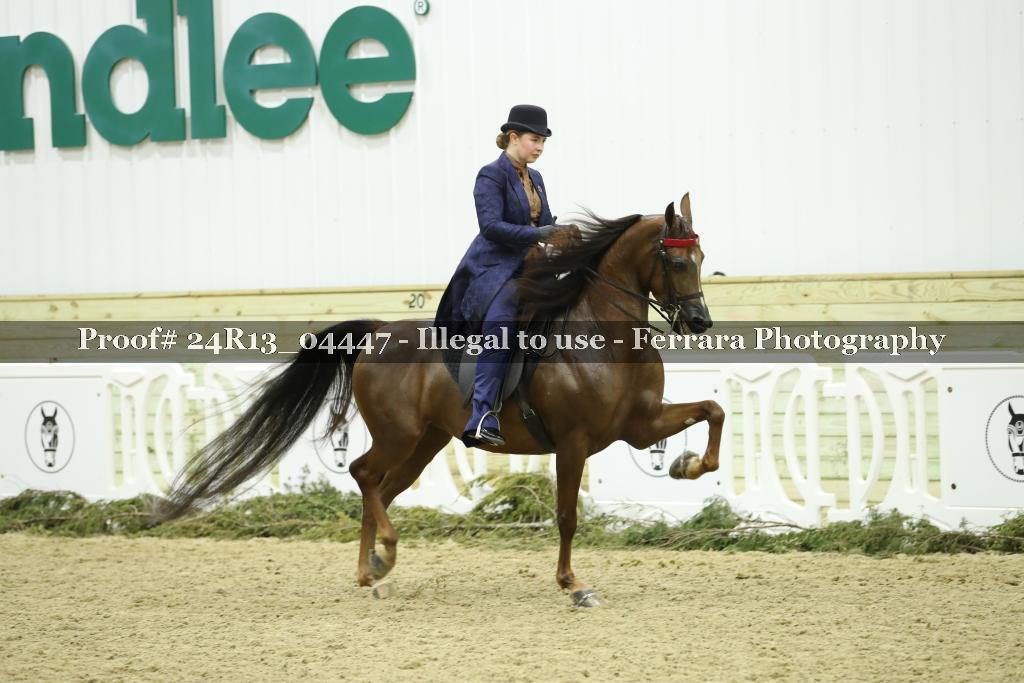 Proof 24R13_04447