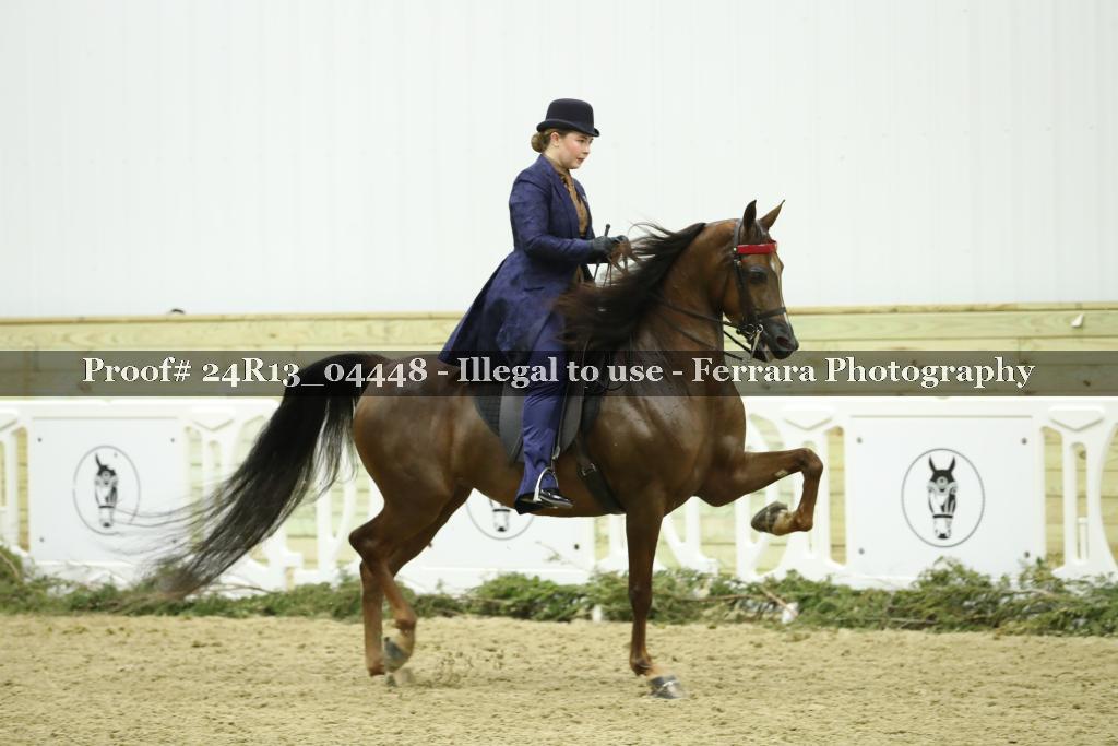 Proof 24R13_04448