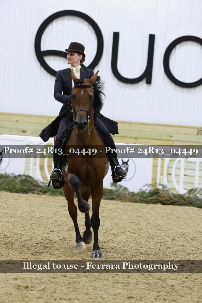 Proof 24R13_04449