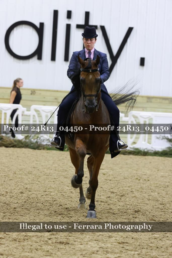 Proof 24R13_04450