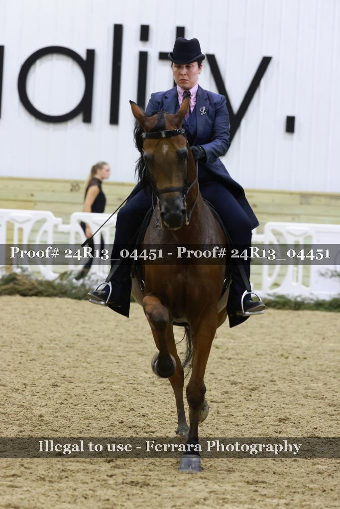 Proof 24R13_04451