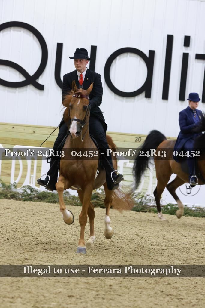 Proof 24R13_04452