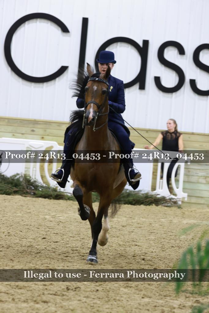 Proof 24R13_04453