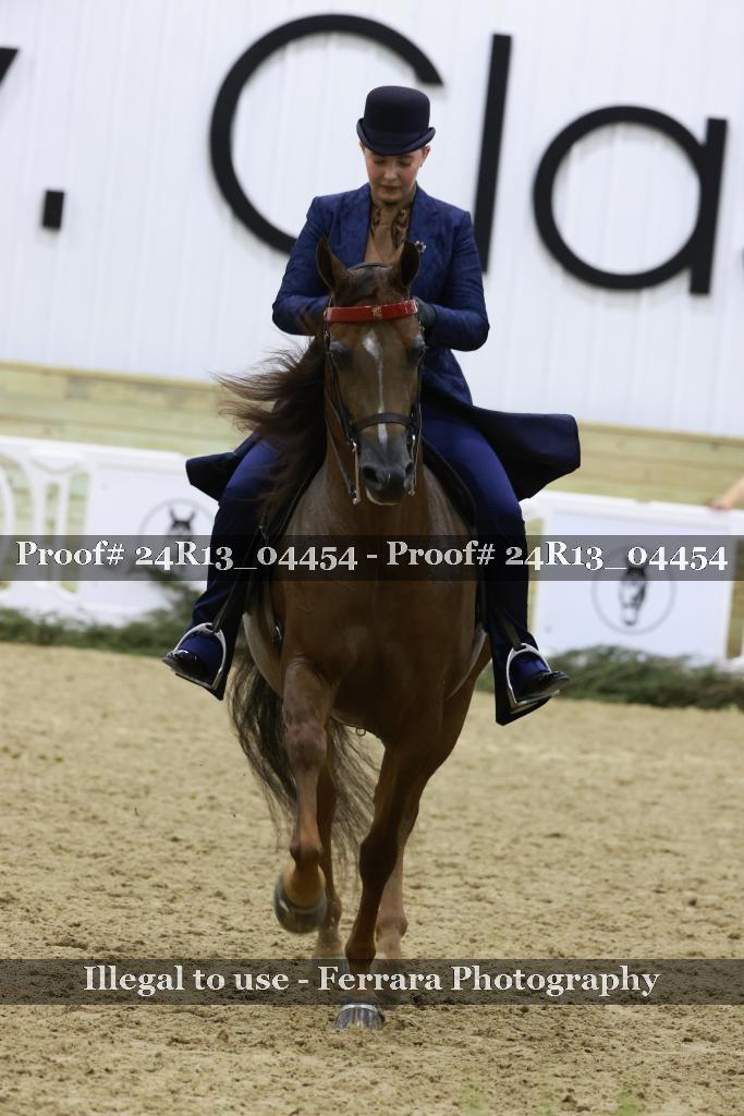 Proof 24R13_04454