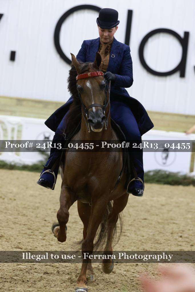 Proof 24R13_04455