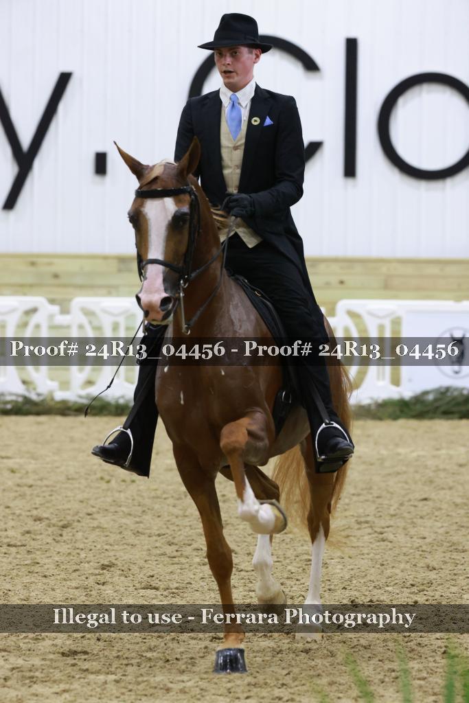 Proof 24R13_04456