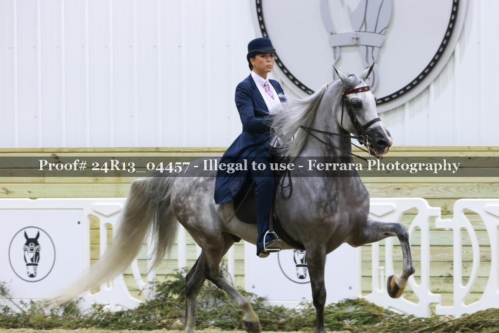 Proof 24R13_04457