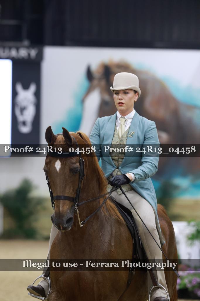 Proof 24R13_04458